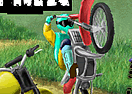 FMX Team