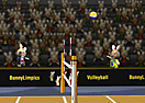 BunnyLimpics - Volleyball