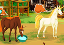 Caring for Unicorns